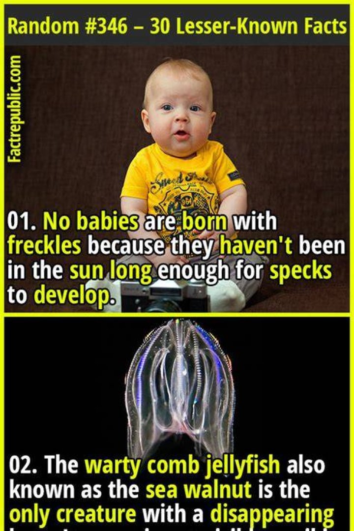 30 Lesser Known Facts You Probably Didn’t Know About Ron Perlman