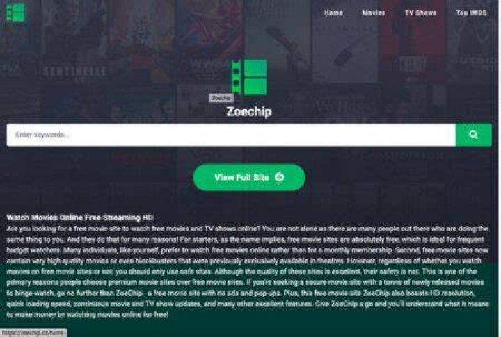 Amazing Zoe Chip: Unlocking A World Of Possibilities