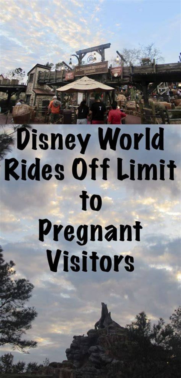 Don't Miss These Disneyland Rides During Pregnancy