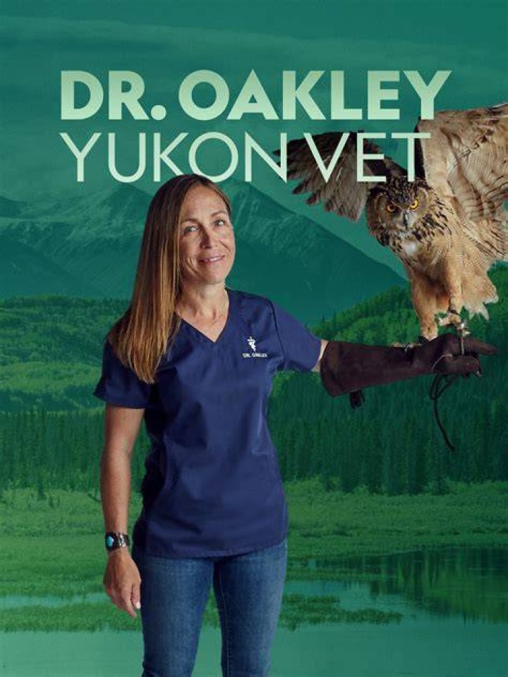 Dr. Oakley, Yukon Vet Rotten Tomatoes