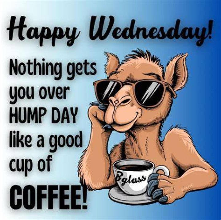 Hump Day Quotes, Wednesday Morning Quotes, Wednesday Humor, Wednesday