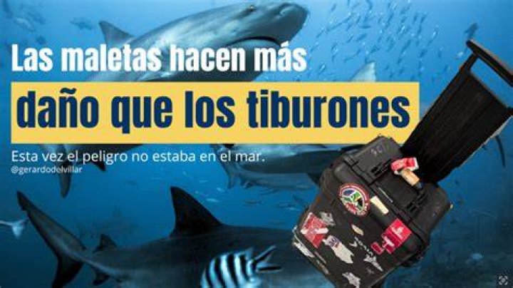 Los Bellingham hacen las maletas el hermano de Jude tiene nuevo equipo