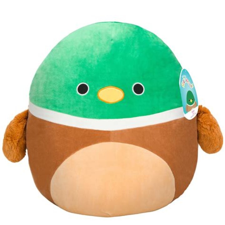 &lsquo;These are super cute&rsquo; Squishmallow fanfare surges in Greeley