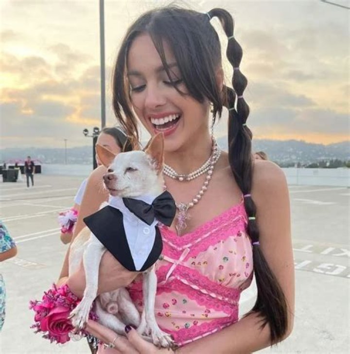 Olivia Rodrigo Pets Celebrity Pets
