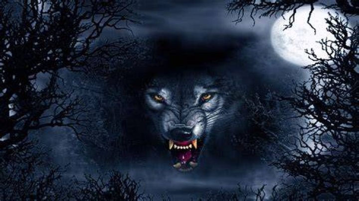 Scary Wolves Wallpapers Wallpaper Cave