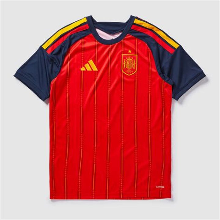 Spain National Football Team Jersey Numbers in Red and Blue