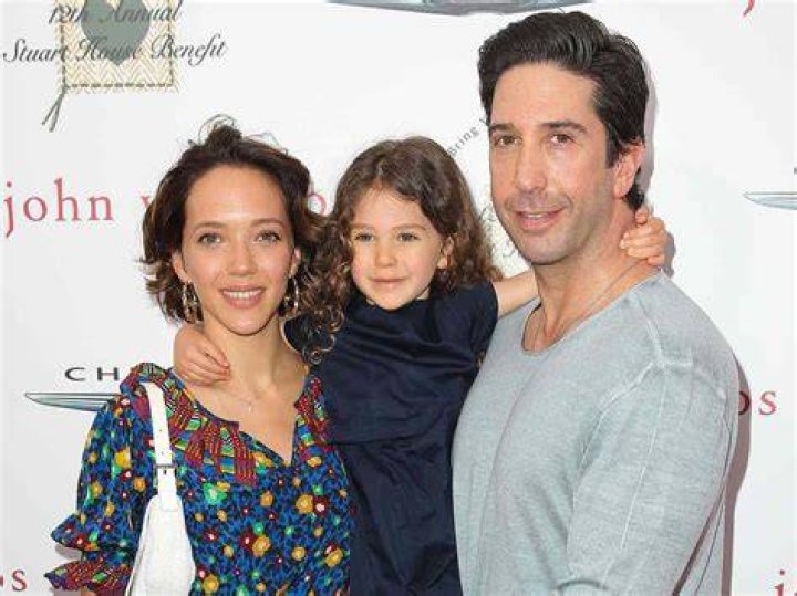 Unveiling The David Schwimmer Family: Exclusive Insights And Revelations