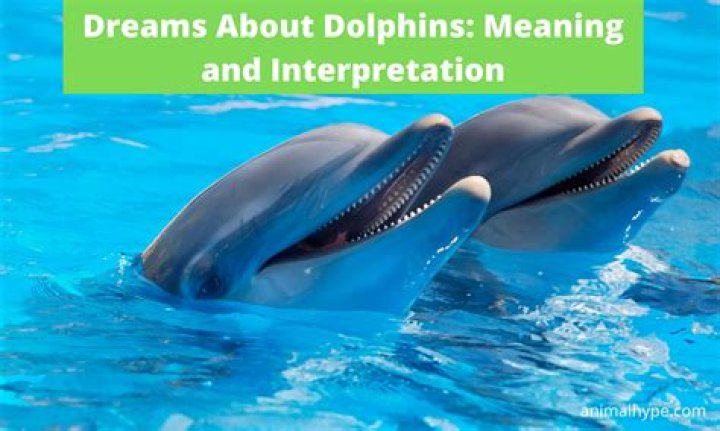 What Do Dolphins Mean Spiritually Spirit Restoration